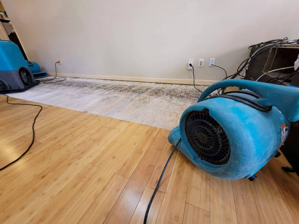Professional Water Damage Repair technician working in Goshen, CA
